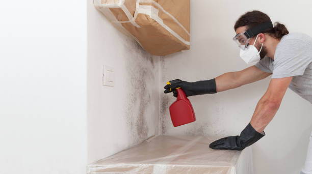 Professional Mold Removal technician working in Floral Park, NY